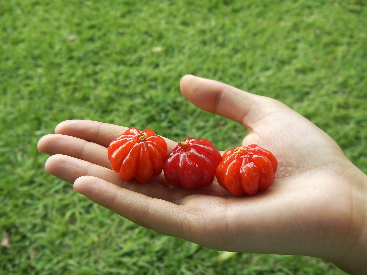 The Science of Antioxidants - Protecting Your Health
